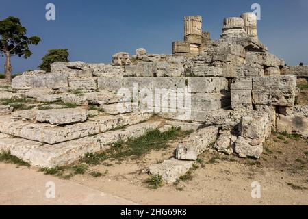 Paestum era una grande città greca antica sulla costa del Mar Tirreno. Le rovine di Paestum sono famose per i loro tre templi greci. Foto Stock