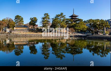 Una foto della pagoda del Tempio di Kofuku-ji visto dallo stagno di Sarusawanoike (Nara). Foto Stock