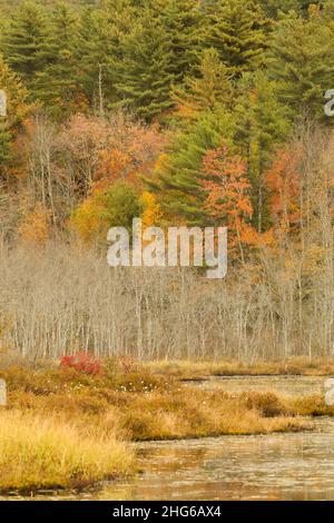 Colori spettacolari nel nord del New Hampshire, specialmente in ottobre! Vieni in New England! Sandwich si trova tra Squam Lake (sul Golden Pond), e. Foto Stock