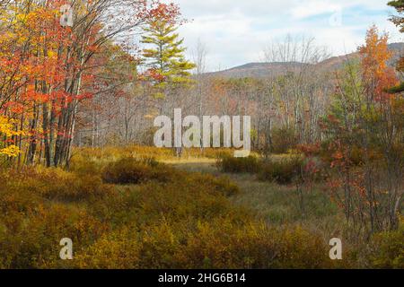 Colori spettacolari nel nord del New Hampshire, specialmente in ottobre! Vieni in New England! Sandwich si trova tra Squam Lake (sul Golden Pond), e. Foto Stock