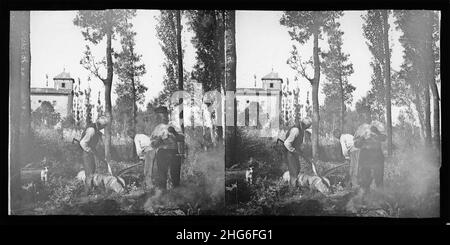 Serradors Treballant al bosc a Sant Julià de Vilatorta. Foto Stock