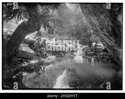 Set di tredici slide selezionate di vita pastorello, che illustrano il ventitreesimo Salmo. "Il Signore è il mio pastore". Foto Stock