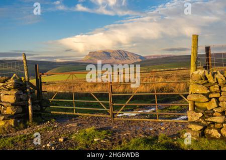 Il sole d'inverno su Penyghent a è caduto in Yorkshire Dales, Inghilterra. È il più basso delle tre cime dello Yorkshire a 2.277 piedi; gli altri due sono dentro Foto Stock