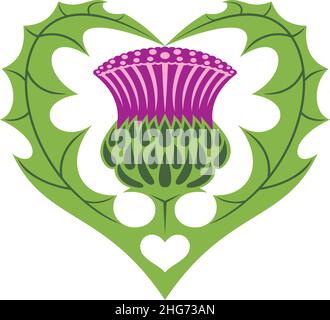 Scottish Heart e Thistle Tatuaggio Illustrazione Vettoriale