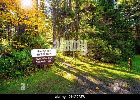 Gaudineer Knob segno in Monongahela National Forest Appalachian montagne West Virginia trekking percorso panoramico ingresso alla foresta di muschio al mattino all'alba Foto Stock