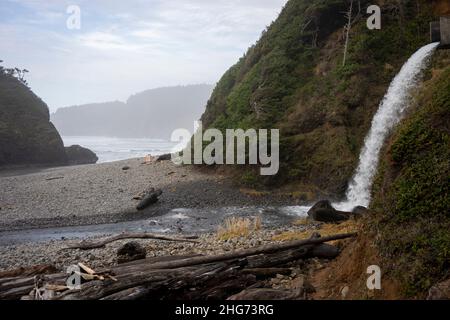 Short Beach sulla costa dell'Oregon, con una cascata artificiale vicino alla scala del sentiero. Foto Stock