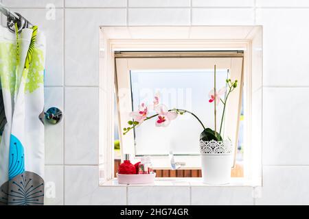 Moderno bagno bianco piastrelle piastrelle piastrellato parete con doccia tenda finestra aperta e luce solare naturale luminosa e vaso colorato decorazioni di fiori di orchidea Foto Stock