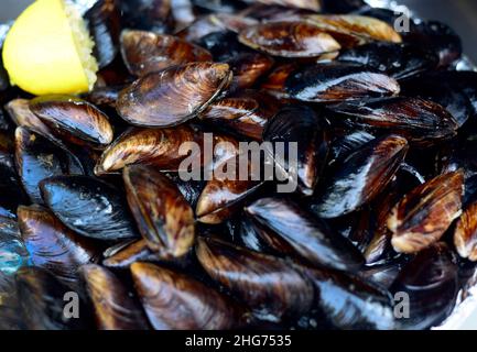 Venditore di strada che vende cozze fresche dal corno d'oro a Beyoğlu, Istanbul Turchia. Foto Stock