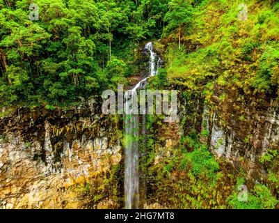 Vista sulla OBI Valley e sulla lussureggiante foresta pluviale sono le attrazioni principali per i visitatori di questa piccola ma significativa foresta rimanente. Foto Stock