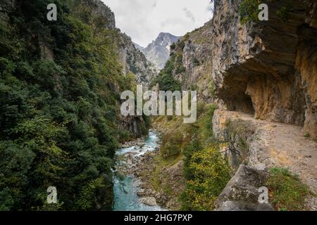 Ruta del Cares sentiero natura paesaggio a Picos de Europa Foto Stock