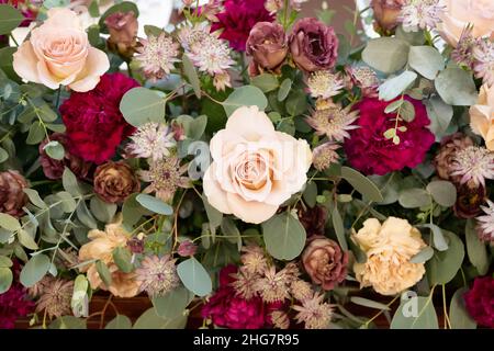 Molti fiori di colore autunnale sono raccolti Foto Stock