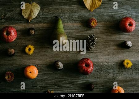 Foglie di frutta coni di pino e fiori griglia piatto lay Foto Stock