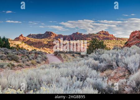 Grandi arbusti di Sagebrush, le rocce di Cockscomb, House Rock Valley Road, Coyote Buttes, area di Wire Pass, al confine del Vermilion Cliffs National Monument Utah Foto Stock