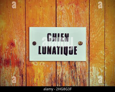 Chien lunatique, cane pazzo lunatico, segno divertente e avvertimento in una porta Foto Stock