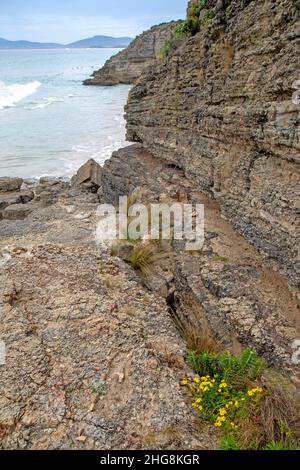 Scogliere sulla Baia di Moorina, Isola Bruny Foto Stock