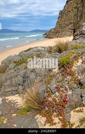 Moorina Bay sull'Isola di Bruny Foto Stock