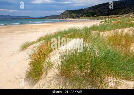 Moorina Bay sull'Isola di Bruny Foto Stock