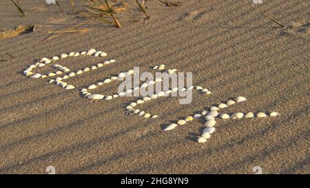 Con conchiglie disposte simbolo felicità sulla spiaggia del Mar Baltico nella sabbia. Desideri per la vacanza e la vita. Foto Stock