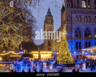 Pattinaggio sul ghiaccio intorno all'albero di Natale al tramonto presso il Natural History Museum Borough di Kensington e Chelsea London Inghilterra Foto Stock