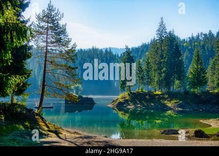 Riflessi della foresta nel lago Cauma, Grigioni, Svizzera Foto Stock