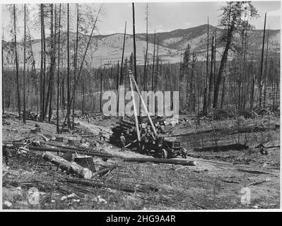 Slavage loggin in corso sul Tunk Creek logging unità nell'angolo NE della Colville Reservation. Nel... Foto Stock