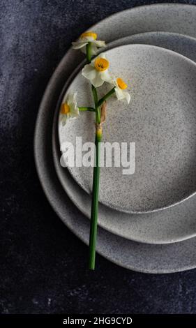 Narcisis fiore su una pila di piastre in ceramica Foto Stock