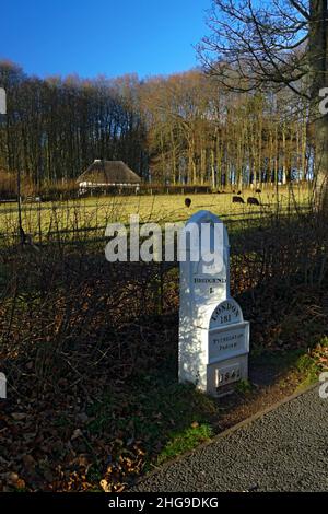 Abernodwydd Farmhouse, St Fagans National Museum of History/Amgueddfa Werin Cymru, Cardiff, Galles del Sud, Regno Unito. Foto Stock