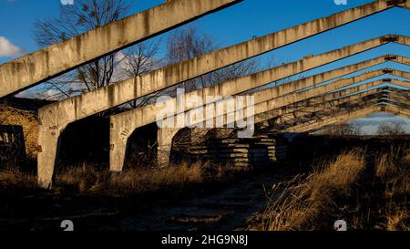 Abbandonata e rovinata vecchia fattoria con cespugli e alberi Foto Stock