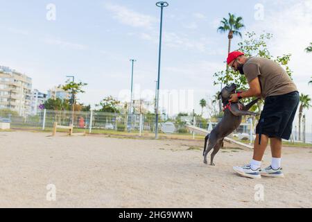 ritratto di uomo felice in cappello rosso e occhiali da sole con terrier americano in cani zona pedonale parco in sity Foto Stock