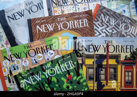 2021 copertina settimanale della rivista 'The New Yorker', USA Foto Stock