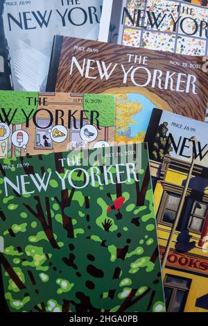 2021 copertina settimanale della rivista 'The New Yorker', USA Foto Stock