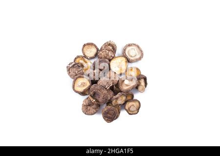 shiitake isolato su uno sfondo bianco Foto Stock