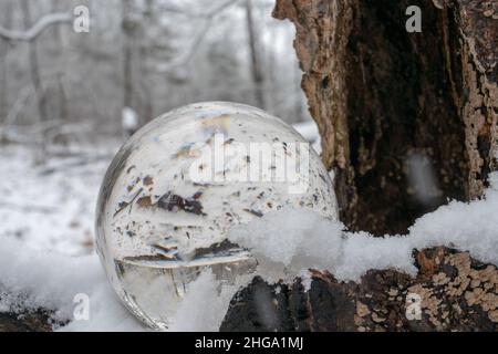 Natura e una palla di vetro, primo piano Foto Stock