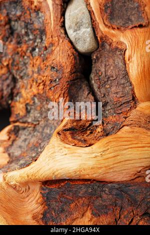 Curva testurizzata legno serpente di colore marrone con texture su sfondo nero. Elemento decorativo in legno, primo piano, minimalismo. Foto Stock