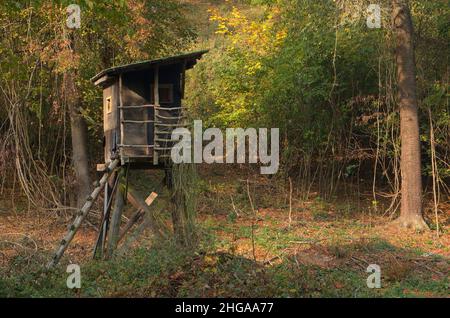 Stativo rialzato in una foresta nella bassa Austria,Austria,Europa Foto Stock