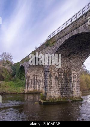 Ponte ferroviario sul fiume Boyne nella Navan County Meath Ireland Foto Stock