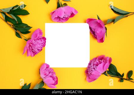 Mockup carta bianca con cornice fatta di fiori di peonia su sfondo giallo. Concetto di vacanza. Foto Stock