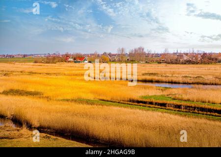 Vista panoramica al tramonto del villaggio olandese Zaanse Schans vicino ad Amsterdam. Tipiche case olandesi in legno verde. Olanda, Paesi Bassi Foto Stock