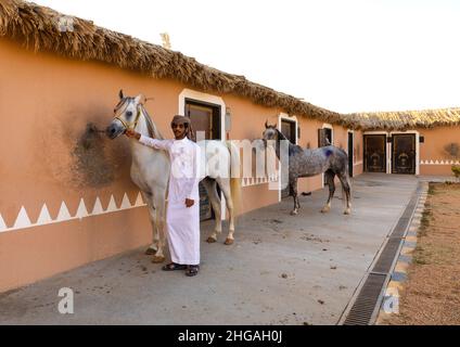 Uomo Saudita con cavalli arabi ad Alhazm Stud, provincia di Najran, Khubash, Arabia Saudita Foto Stock