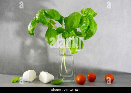 Basilico fresco in vaso di vetro, pezzi di mozzarella e pomodori freschi, ingrediente per la cucina italiana, da vicino di fronte ad un muro grigio di cemento Foto Stock