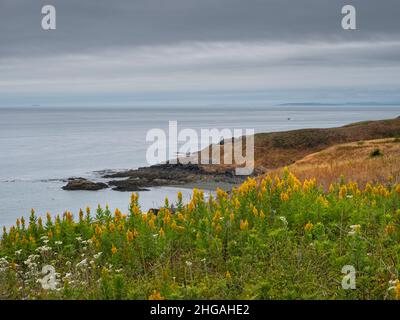 WA21161-00...WASHINGTON - Shoreline lungo lo stretto di Juan de Fuca visto da American Camp, parte del San Juan Island National Historical Park. Foto Stock