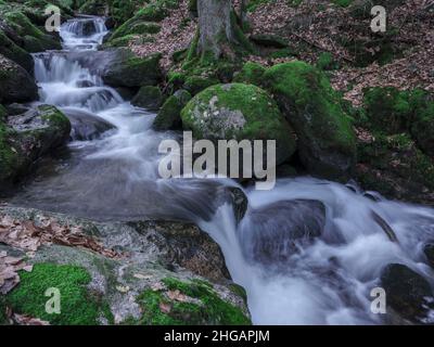 Cascate di Gertelbach, Valle di Gertelbach, Buehlertal, Foresta Nera settentrionale, Germania Foto Stock