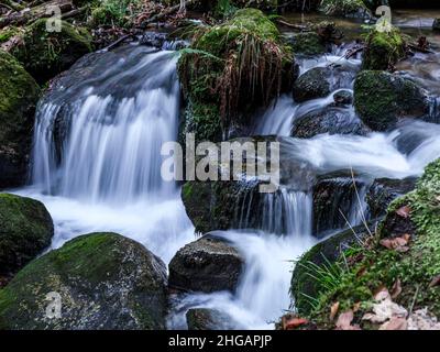 Cascate di Gertelbach, Valle di Gertelbach, Buehlertal, Foresta Nera settentrionale, Germania Foto Stock