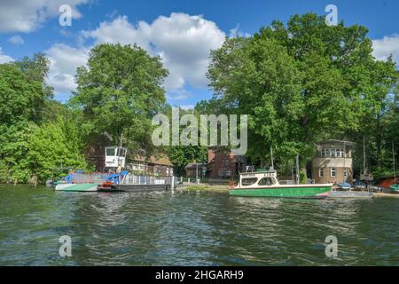 Traghetto, scuola di imbarco, isola di Scharfenberg, lago Tegel, Tegel, Reinickendorf, Berlino, Germania Foto Stock