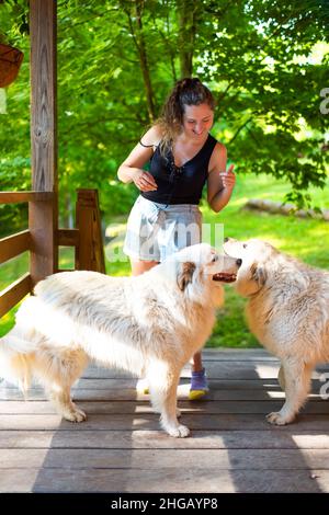 Giovane donna felice ragazza accarezzando due grandi bianchi grandi pirenei grandi cani fuori a casa portico di capanna di tronchi in campagna rurale fattoria Foto Stock