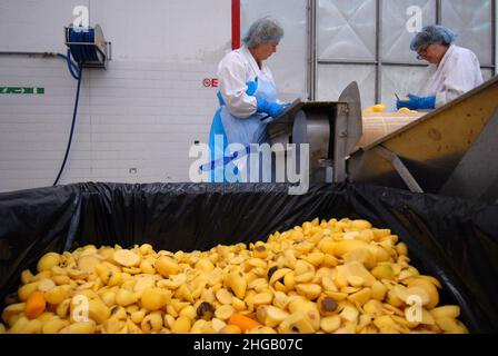 Prossedi (LT), Italia 02/08/2007: I lavoratori temporanei preparano semilavorati in un'azienda agroalimentare. ©Andrea Sabbadini Foto Stock