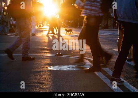 Folle di persone che attraversano un incrocio trafficato su 14th Street e 5th Avenue a New York City con la luce del tramonto che splende sullo sfondo Foto Stock