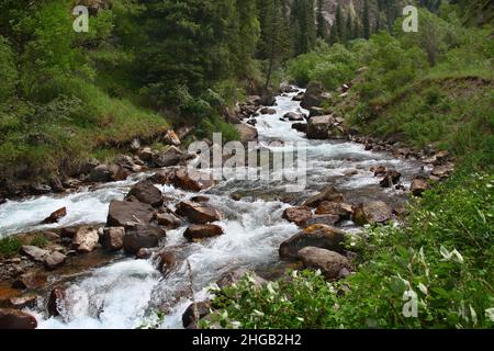 Un piccolo fiume circondato da verde e alberi in alto nelle montagne nella gola Turgen, ci sono molte pietre nel fiume, estate Foto Stock