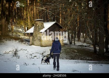 Donna che cammina da sola verso una cabina di legno nel mezzo di una foresta innevata. Rifugio nel Parco Nazionale della Sierra de Guadarrama, El Espinar, Segovia, Mad Foto Stock