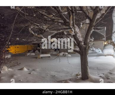 Le condizioni di neve in inverno creano una meraviglia invernale a Golden, BC, Canada Foto Stock